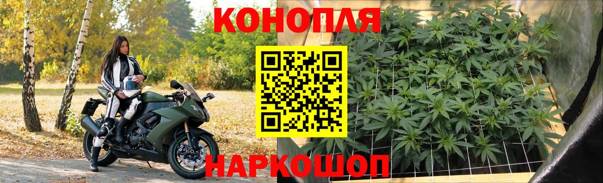 МАРИХУАНА Ставрополь